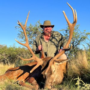 Red Stag Hunting Argentina