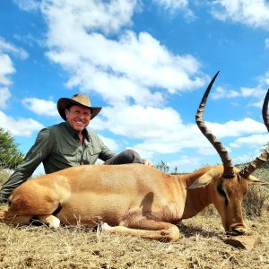 Impala Hunt South Africa