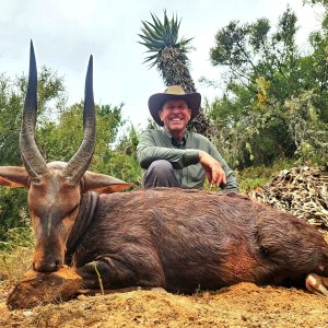 Bushbuck Hunt South Africa