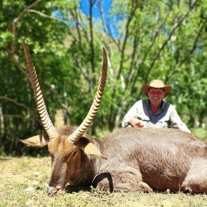 Waterbuck Hunt South Africa