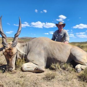 Eland Hunt South Africa