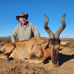 Red Hartebeest Hunt South Africa