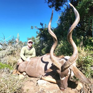 Kudu Hunt Eastern Cape South Africa