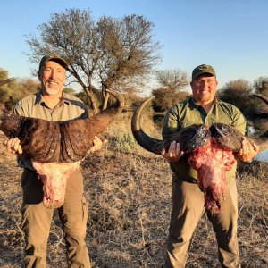 Buffalo Hunt South Africa