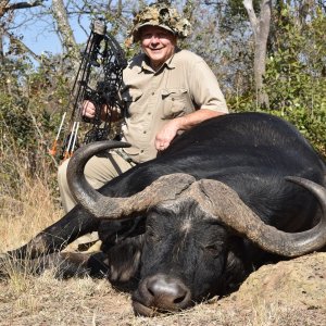 Buffalo Bow Hunt