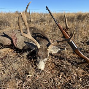 .303 Savage 100 + Year Old Hunting Rifle