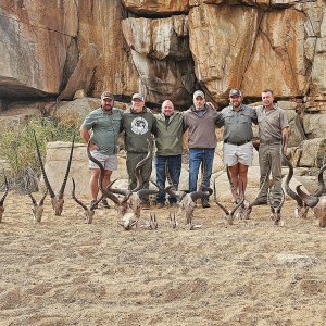 Trophy Hunt South Africa