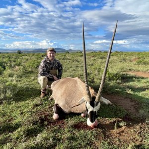 Gemsbuck Cow Hunt South Africa