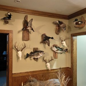 Trophy Room