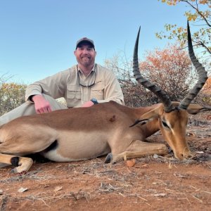 Impala Hunt South Africa