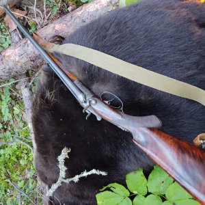 1896 JP Sauer Double Rifle