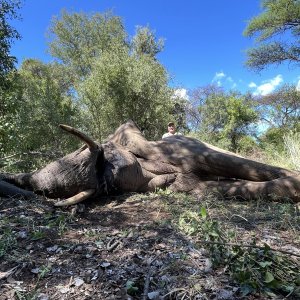 Hunting Elephant Zimbabwe