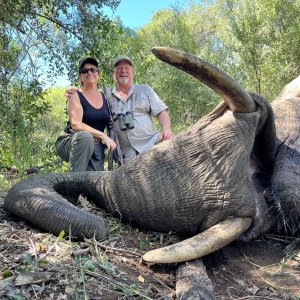 Hunting Elephant Zimbabwe