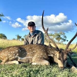 Hunting Chital Deer Australia