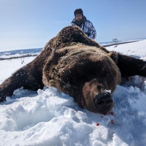 Kamchatka Brown Bear Hunt Russia