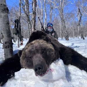 Kamchatka Brown Bear Hunt Russia