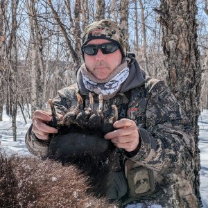 Kamchatka Brown Bear Claw