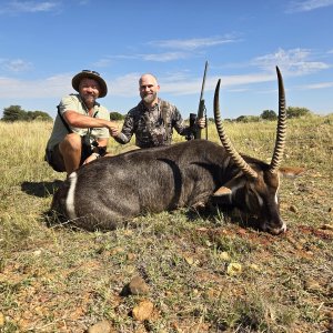 Waterbuck Hunt South Africa