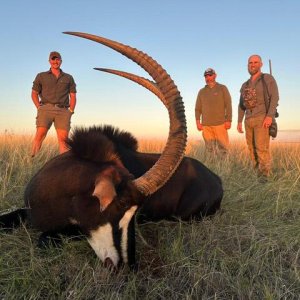 Sable Hunt South Africa