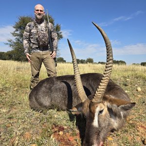 Waterbuck Hunt South Africa