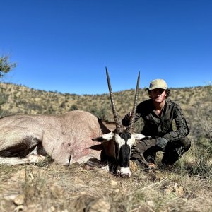 Gemsbok Bull Hunt Namibia