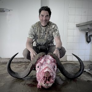 Buffalo Bow Hunt Skull