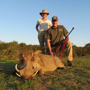 Warthog Hunt South Africa