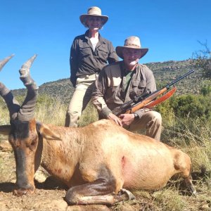 Red Hartebeest Hunt South Africa