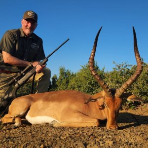 Impala Hunt South Africa