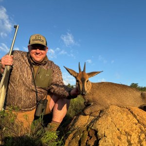 Duiker Hunt Eastern Cape South Africa