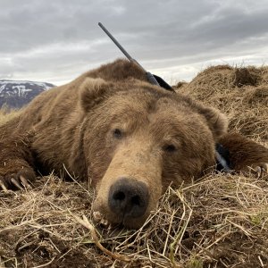 Remington Alaskan In 338 WM Rifle