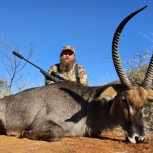 Waterbuck Hunt South Africa