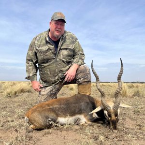 Blackbuck Hunt Argentina