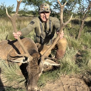 Red Stag Hunt Argentina