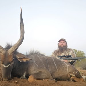 Nyala Hunt South Africa