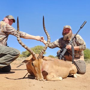 Impala Hunt South Africa