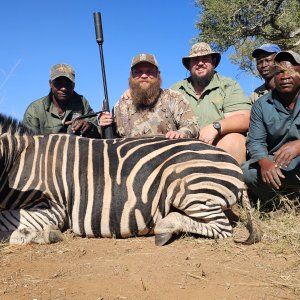 Zebra Hunt South Africa