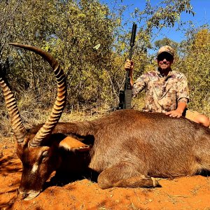 Waterbuck Hunt South Africa