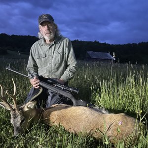 Roe Deer Hunt Romania