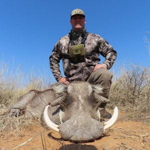 Warthog Hunt Kalahari South Africa