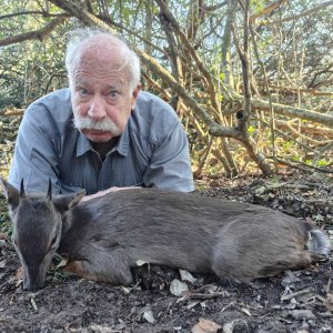 Blue Duiker Hunt Eastern Cape South Africa