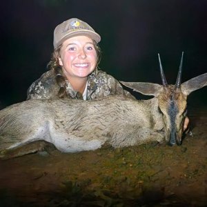 Duiker Hunt KwaZulu-Natal South Africa