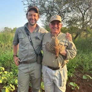 Francolin Hunt KwaZulu-Natal South Africa