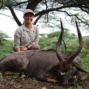 Nyala Hunt KwaZulu-Natal South Africa