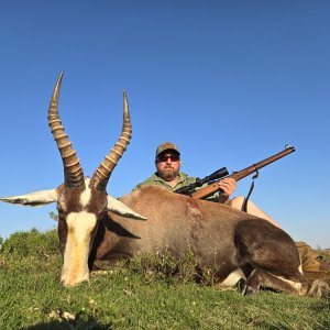 Blesbok Hunt Eastern Cape South Africa