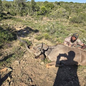 Kudu Hunt Eastern Cape South Africa