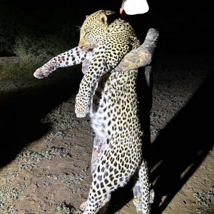 Leopard Hunt Zimbabwe