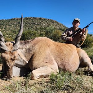 Eland Hunt Eastern Cape South Africa