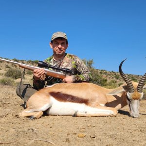 Springbok Hunt Eastern Cape South Africa