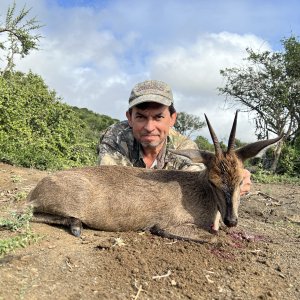 Duiker Hunt Eastern Cape South Africa